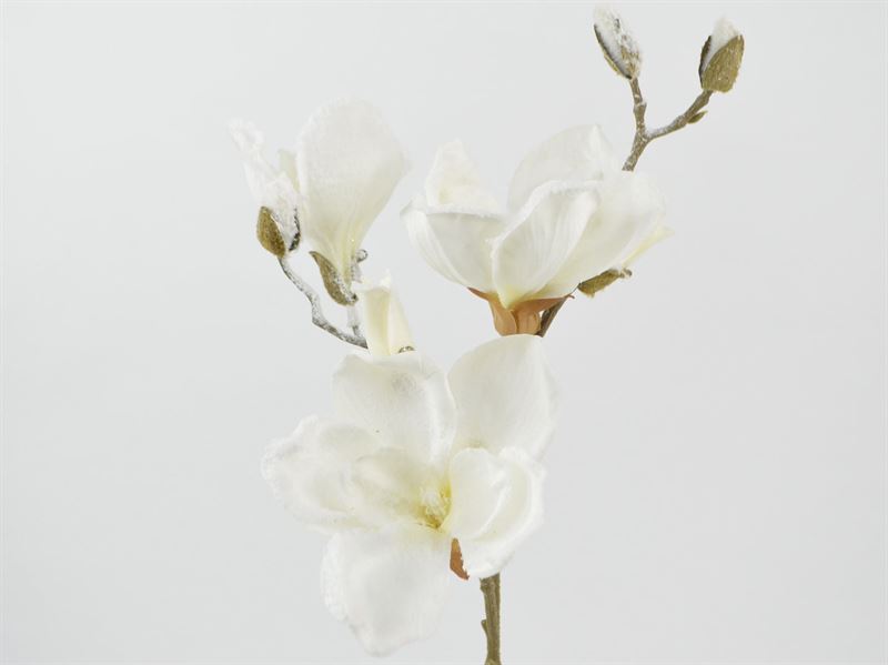 Deko Florale - kunstig Magnolia gren m/sne, 50 cm (1380-01)