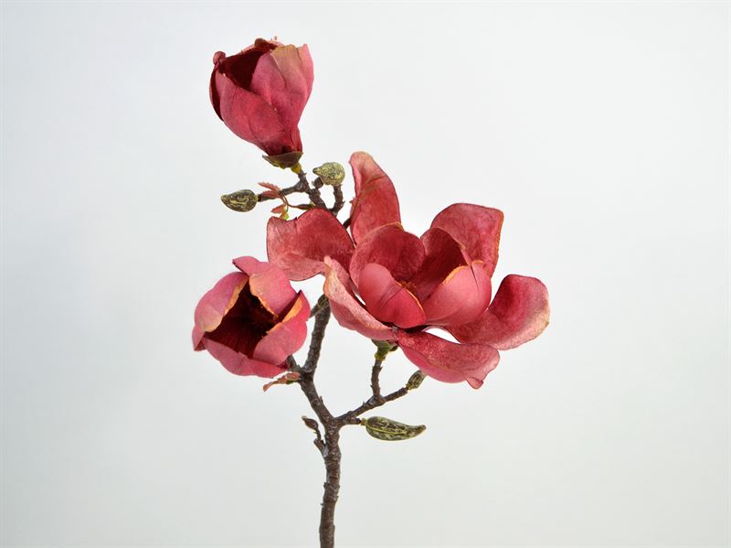 Kunstig magnolia stilk, pink, 62 cm (2841-09)