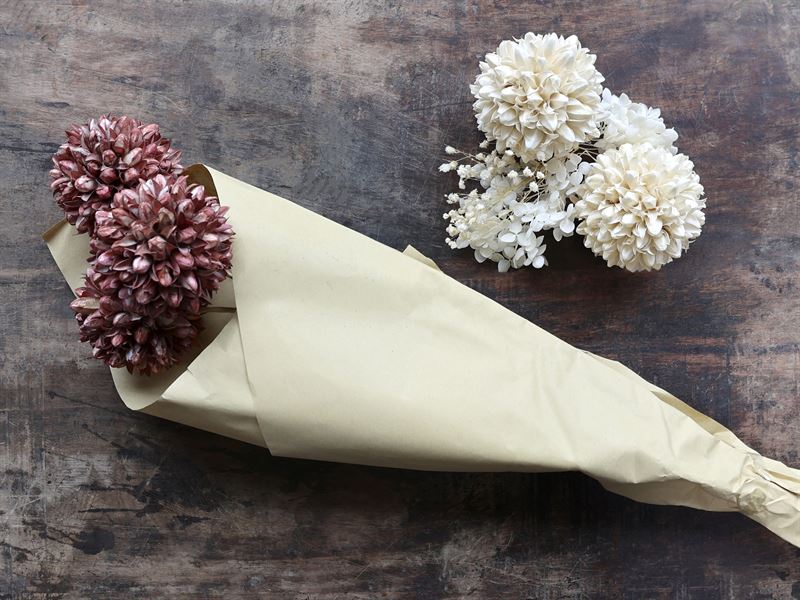 Chic Antique - Fleur tørrede snebold blomster, brun