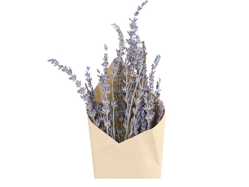 Chic Antique - Fleur tørrede Lavendel Blomster