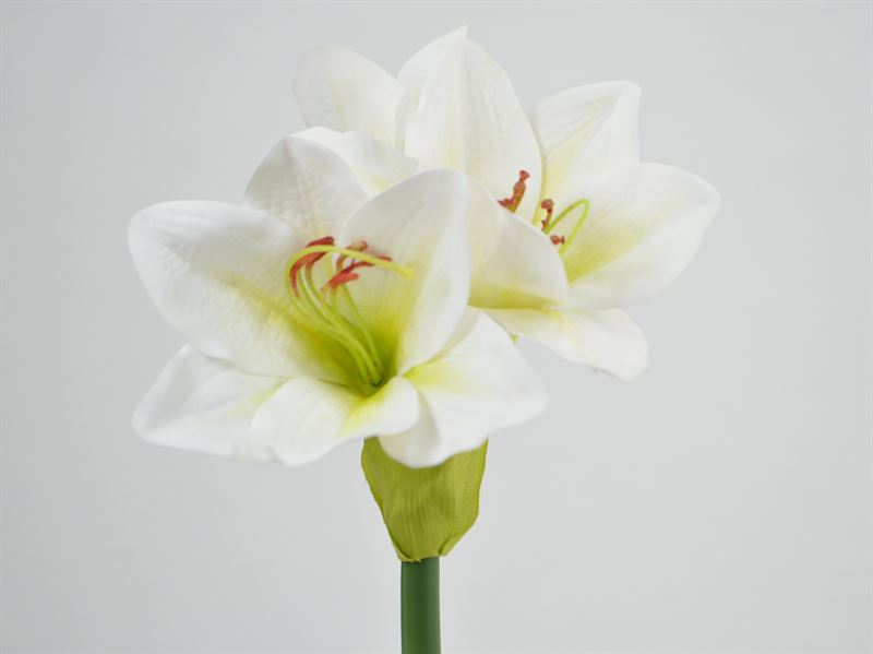Deko Florale - Kunstig Amaryllis, 34cm hvid 1411-15