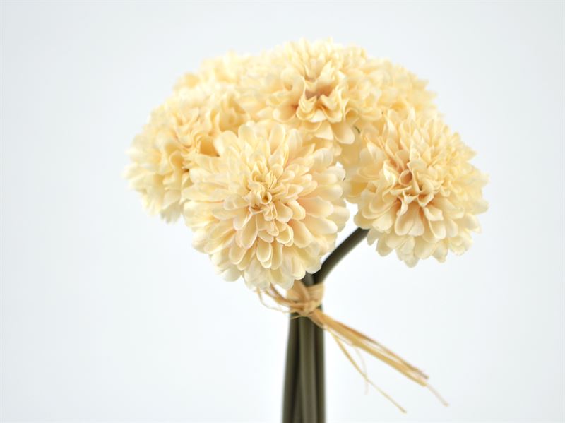 Chrysanthemum, 6 stk, cream, 20 cm (1446-86)