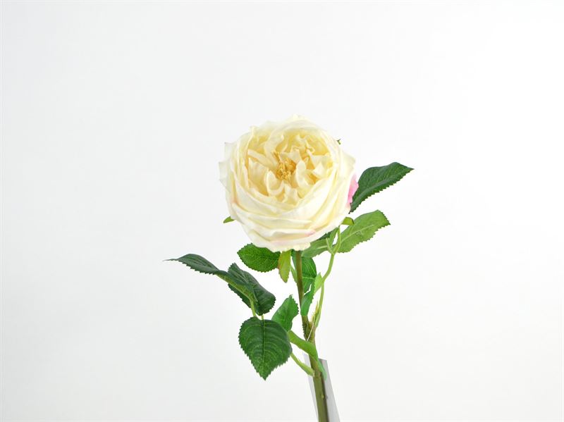 Deko Florale - Rose, real touch, 59cm,  cream 2621-01