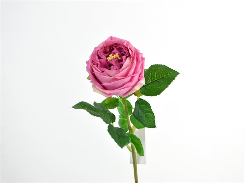 Rose, real touch, 59cm, fuchsia, 2621-45