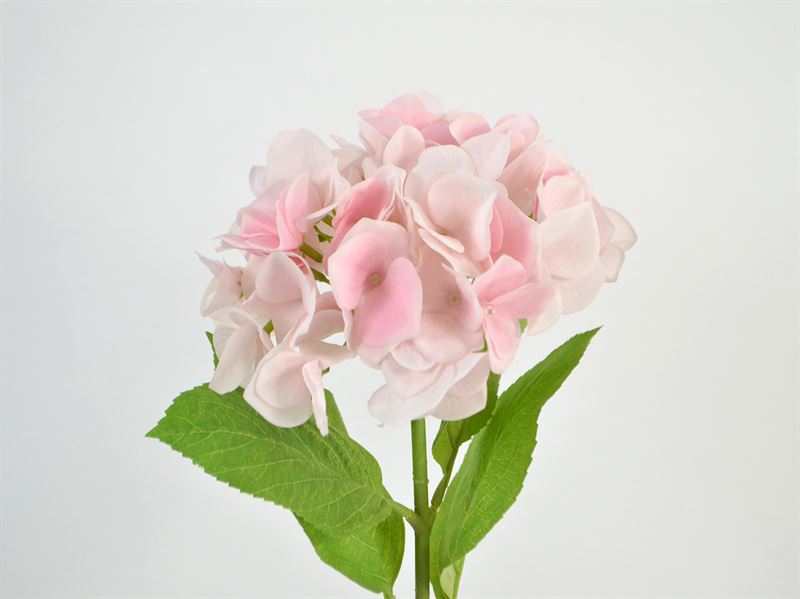 Deko Florale - Kunstig hotensia, rosa, 46cm (3106-09)