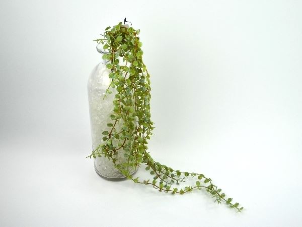 Deko Florale - Kunstig hængende sukkulent,  70cm, (320910)
