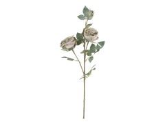 Chic Antique - Fleur rose, støvet grøn (39535-21)