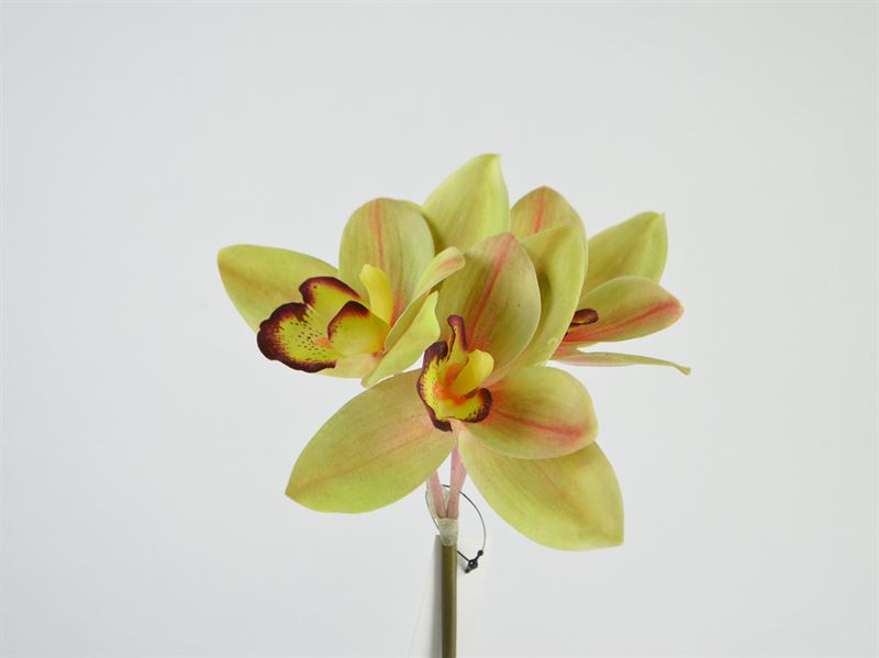 Kunstige orkide, 3 blomster gul, 48 cm  (397410)