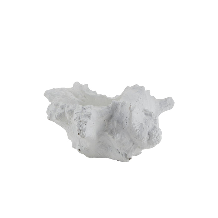 Bahne - Konkylie, hvid 18,5 cm.