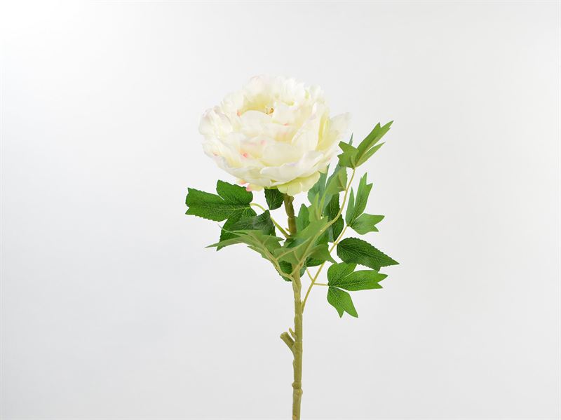 Kunstig pæon, hvid, 66 cm (443701)