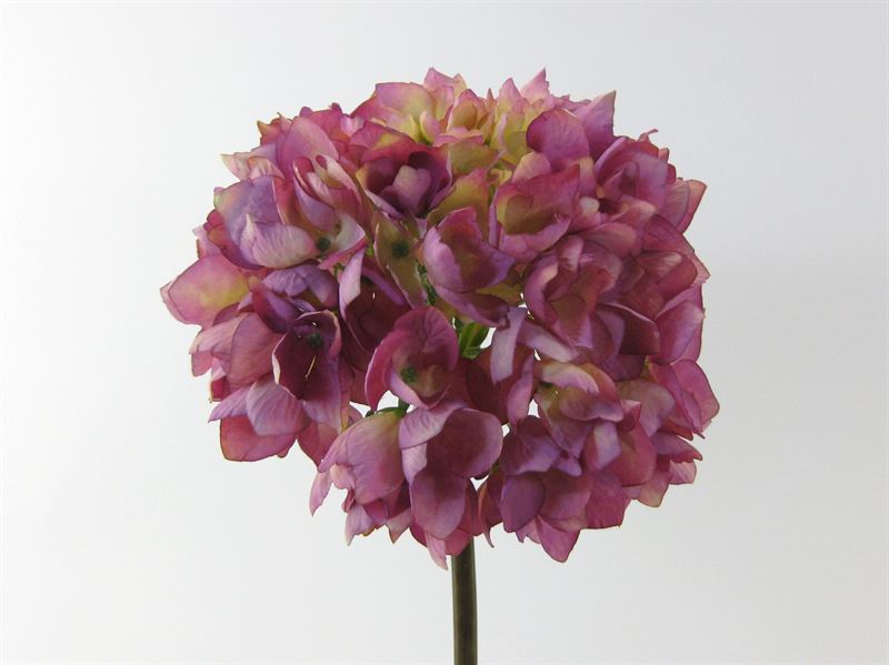 Deko Florale - Kunstig Hortensia creme/lilla, 50cm (781440)
