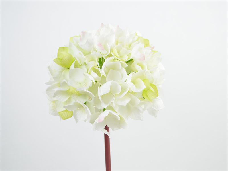 Deko Florale - Kunstig Hortensia, creme, 47cm  (935316)